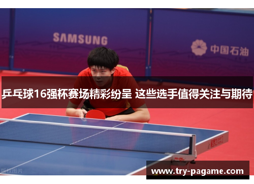 乒乓球16强杯赛场精彩纷呈 这些选手值得关注与期待 乒乓球16强杯赛场精彩纷呈 这些选手值得关注与期待