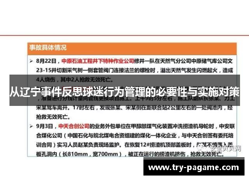 从辽宁事件反思球迷行为管理的必要性与实施对策 从辽宁事件反思球迷行为管理的必要性与实施对策