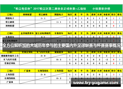 全方位解析加的夫城历年参与的主要国内外足球联赛与杯赛赛事概况 全方位解析加的夫城历年参与的主要国内外足球联赛与杯赛赛事概况