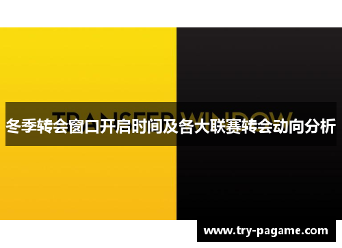 冬季转会窗口开启时间及各大联赛转会动向分析 冬季转会窗口开启时间及各大联赛转会动向分析