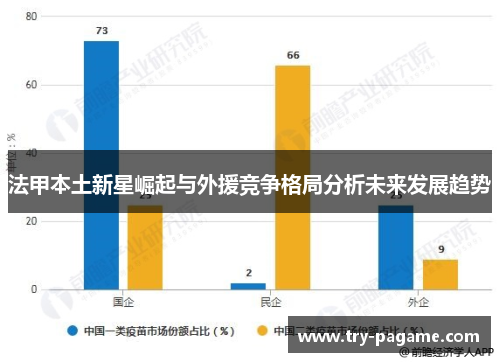 法甲本土新星崛起与外援竞争格局分析未来发展趋势