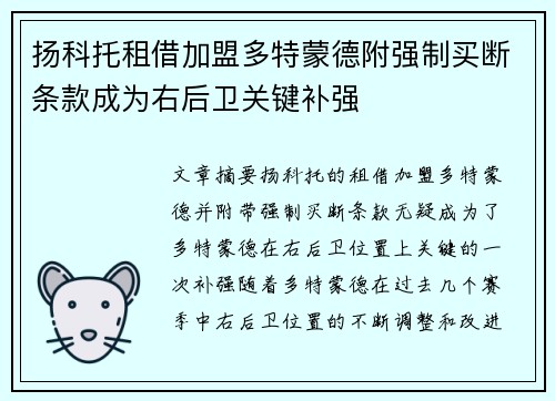 扬科托租借加盟多特蒙德附强制买断条款成为右后卫关键补强 扬科托租借加盟多特蒙德附强制买断条款成为右后卫关键补强